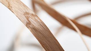 Echtholz-Furnierkanten