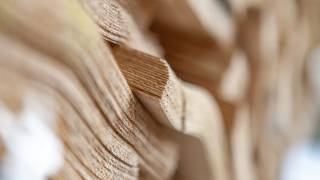 Furnierte Holzwerkstoffe