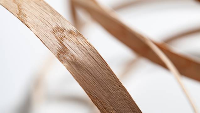 Echtholz-Furnierkanten Der perfekte Abschluss: optisch passend – mit klassischen Holzmerkmalen – handgefertigt