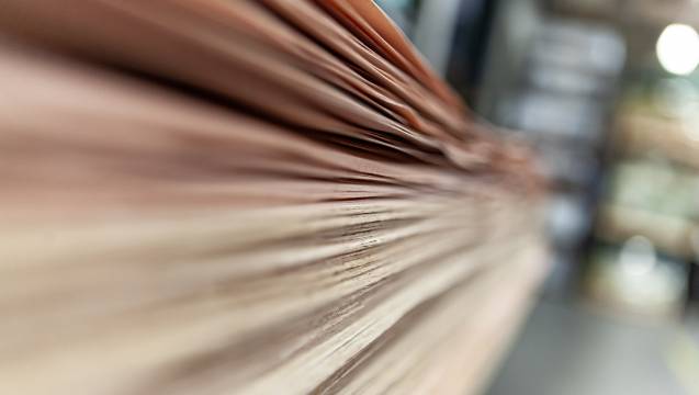 Furnierfixmaße Furnierbild nach Ihren Wünschen – alle Holzarten, vom Normalschnitt bis 2,5 mm – Sie wählen aus.