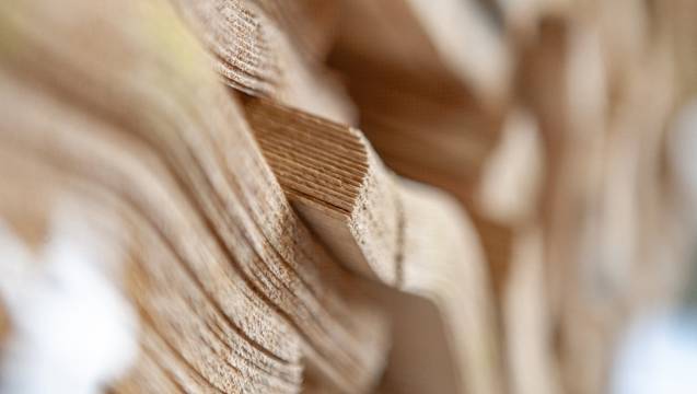 Furnierte Holzwerkstoffe Sie haben einen Wunsch frei! Wir bringen Ihr Wunschfurnier auf Ihren Wunschträger.