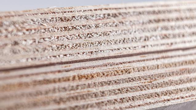 Queenply Exklusiv nur bei uns erhältlich: Queenply – die besondere Leichtbauplatte! Mit nur 330 kg/m³ überzeugt die neue Leichtbauplatte im Gewicht. Durch unsere Kalibrierung überzeugt Sie auch mit einer Stärkentoleranz von nur ±0,1 mm!