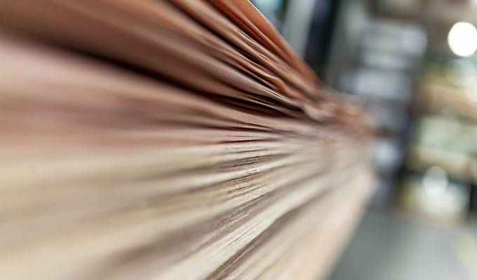 Furnierfixmaße Furnierbild nach Ihren Wünschen – alle Holzarten, vom Normalschnitt bis 2,5 mm – Sie wählen aus.